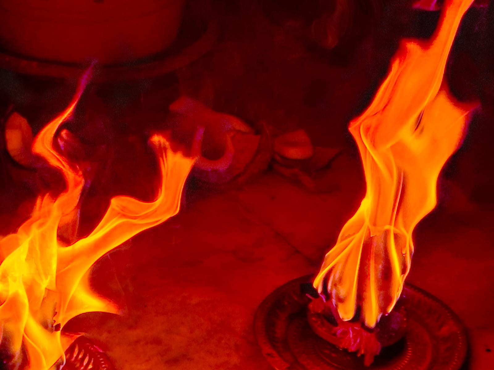 Karthika Pournami 2025 Celebrations At Hindu Maha Yagnam