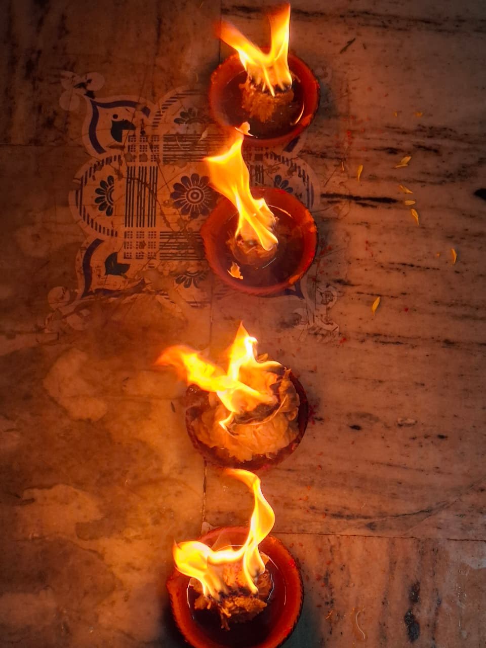 Karthika Pournami 2025 Celebrations At Hindu Maha Yagnam