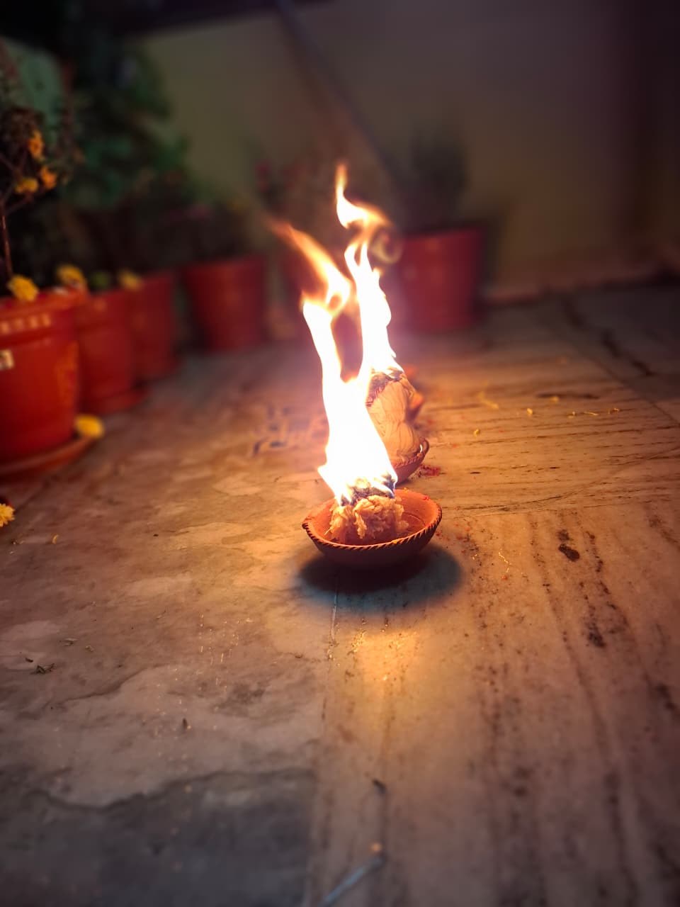 Karthika Pournami 2025 Celebrations At Hindu Maha Yagnam