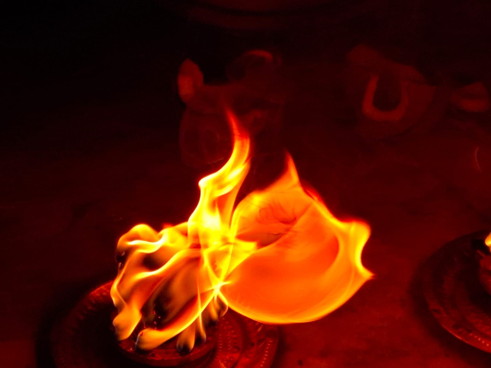 Karthika Pournami 2025 Celebrations At Hindu Maha Yagnam
